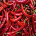 Vegetable Seeds,Garden seeds, Seeds For Planting,Plant Seeds