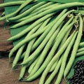 Vegetable Seeds,Garden seeds, Seeds For Planting,Plant Seeds