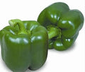 Vegetable Seeds,Garden seeds, Seeds For Planting,Plant Seeds