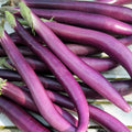 Vegetable Seeds,Garden seeds, Seeds For Planting,Plant Seeds