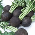 Vegetable Seeds,Garden seeds, Seeds For Planting,Plant Seeds