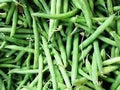 Vegetable Seeds,Garden seeds, Seeds For Planting,Plant Seeds
