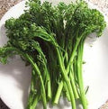 Vegetable Seeds,Garden seeds, Seeds For Planting,Plant Seeds