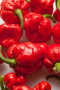 Vegetable Seeds,Garden seeds, Seeds For Planting,Plant Seeds