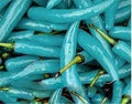 Vegetable Seeds,Garden seeds, Seeds For Planting,Plant Seeds
