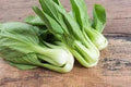 Vegetable Seeds,Garden seeds, Seeds For Planting,Plant Seeds