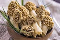 Vegetable Seeds,Garden seeds, Seeds For Planting,Plant Seeds