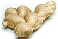 Vegetable Seeds,Garden seeds, Seeds For Planting,Plant Seeds