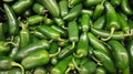 Vegetable Seeds,Garden seeds, Seeds For Planting,Plant Seeds