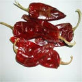 Vegetable Seeds,Garden seeds, Seeds For Planting,Plant Seeds