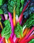 Vegetable Seeds,Garden seeds, Seeds For Planting,Plant Seeds