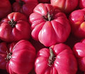 Vegetable Seeds,Garden seeds, Seeds For Planting,Plant Seeds