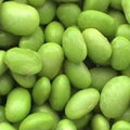 Vegetable Seeds,Garden seeds, Seeds For Planting,Plant Seeds