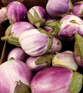 Vegetable Seeds,Garden seeds, Seeds For Planting,Plant Seeds