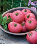 Vegetable Seeds,Garden seeds, Seeds For Planting,Plant Seeds