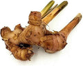 Vegetable Seeds,Garden seeds, Seeds For Planting,Plant Seeds