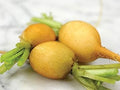 Vegetable Seeds,Garden seeds, Seeds For Planting,Plant Seeds