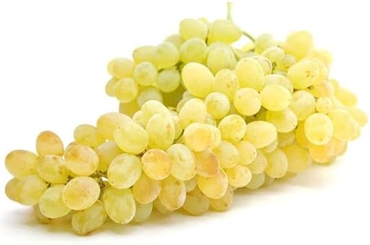Fruit Seeds,Garden seeds, Seeds For Planting,Plant Seeds