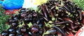 Vegetable Seeds,Garden seeds, Seeds For Planting,Plant Seeds