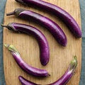 Vegetable Seeds,Garden seeds, Seeds For Planting,Plant Seeds