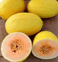 Fruit Seeds,Garden seeds, Seeds For Planting,Plant Seeds