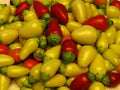 Vegetable Seeds,Garden seeds, Seeds For Planting,Plant Seeds