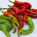 Vegetable Seeds,Garden seeds, Seeds For Planting,Plant Seeds