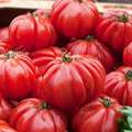 Vegetable Seeds,Garden seeds, Seeds For Planting,Plant Seeds