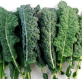 Vegetable Seeds,Garden seeds, Seeds For Planting,Plant Seeds