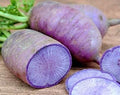 Vegetable Seeds,Garden seeds, Seeds For Planting,Plant Seeds
