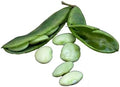 Vegetable Seeds,Garden seeds, Seeds For Planting,Plant Seeds