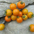 Vegetable Seeds,Garden seeds, Seeds For Planting,Plant Seeds