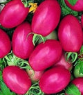 Vegetable Seeds,Garden seeds, Seeds For Planting,Plant Seeds