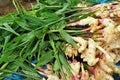 Vegetable Seeds,Garden seeds, Seeds For Planting,Plant Seeds