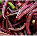 Vegetable Seeds,Garden seeds, Seeds For Planting,Plant Seeds