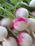 Vegetable Seeds,Garden seeds, Seeds For Planting,Plant Seeds