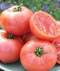 Vegetable Seeds,Garden seeds, Seeds For Planting,Plant Seeds