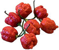 Vegetable Seeds,Garden seeds, Seeds For Planting,Plant Seeds