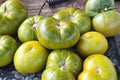 Vegetable Seeds,Garden seeds, Seeds For Planting,Plant Seeds
