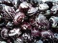 Vegetable Seeds,Garden seeds, Seeds For Planting,Plant Seeds