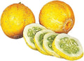 Vegetable Seeds,Garden seeds, Seeds For Planting,Plant Seeds