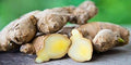 Vegetable Seeds,Garden seeds, Seeds For Planting,Plant Seeds