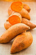 Vegetable Seeds,Garden seeds, Seeds For Planting,Plant Seeds