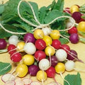 Vegetable Seeds,Garden seeds, Seeds For Planting,Plant Seeds