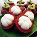 Fruit Seeds,Garden seeds, Seeds For Planting,Plant Seeds