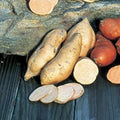 Vegetable Seeds,Garden seeds, Seeds For Planting,Plant Seeds