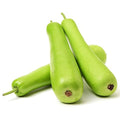 Vegetable Seeds,Garden seeds, Seeds For Planting,Plant Seeds
