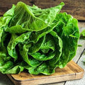 Vegetable Seeds,Garden seeds, Seeds For Planting,Plant Seeds