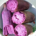 Vegetable Seeds,Garden seeds, Seeds For Planting,Plant Seeds