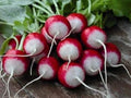 Vegetable Seeds,Garden seeds, Seeds For Planting,Plant Seeds